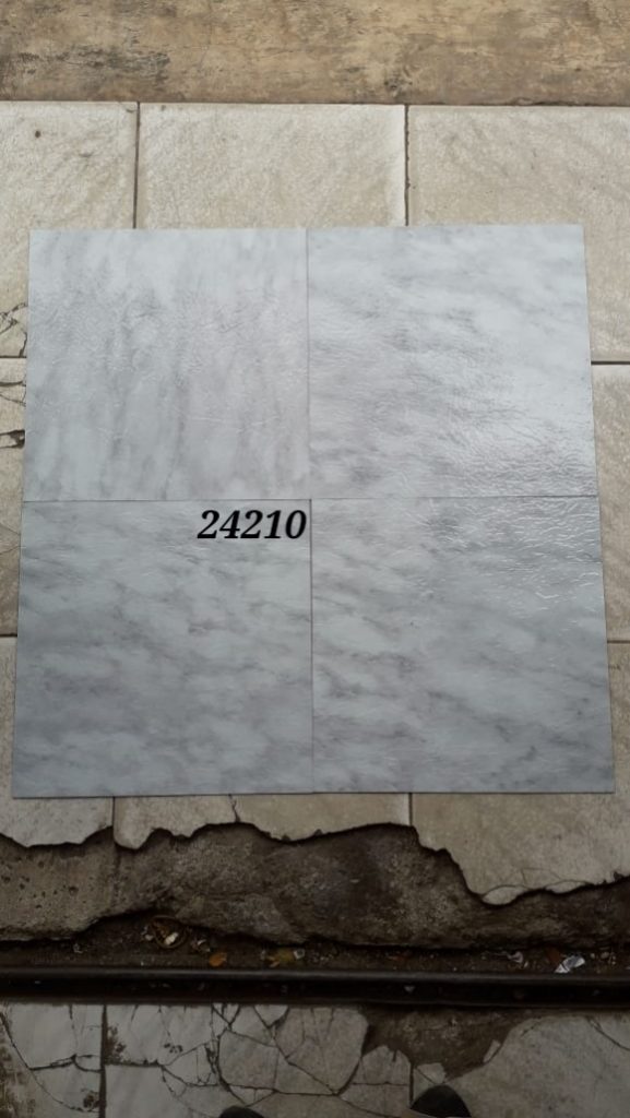 24210