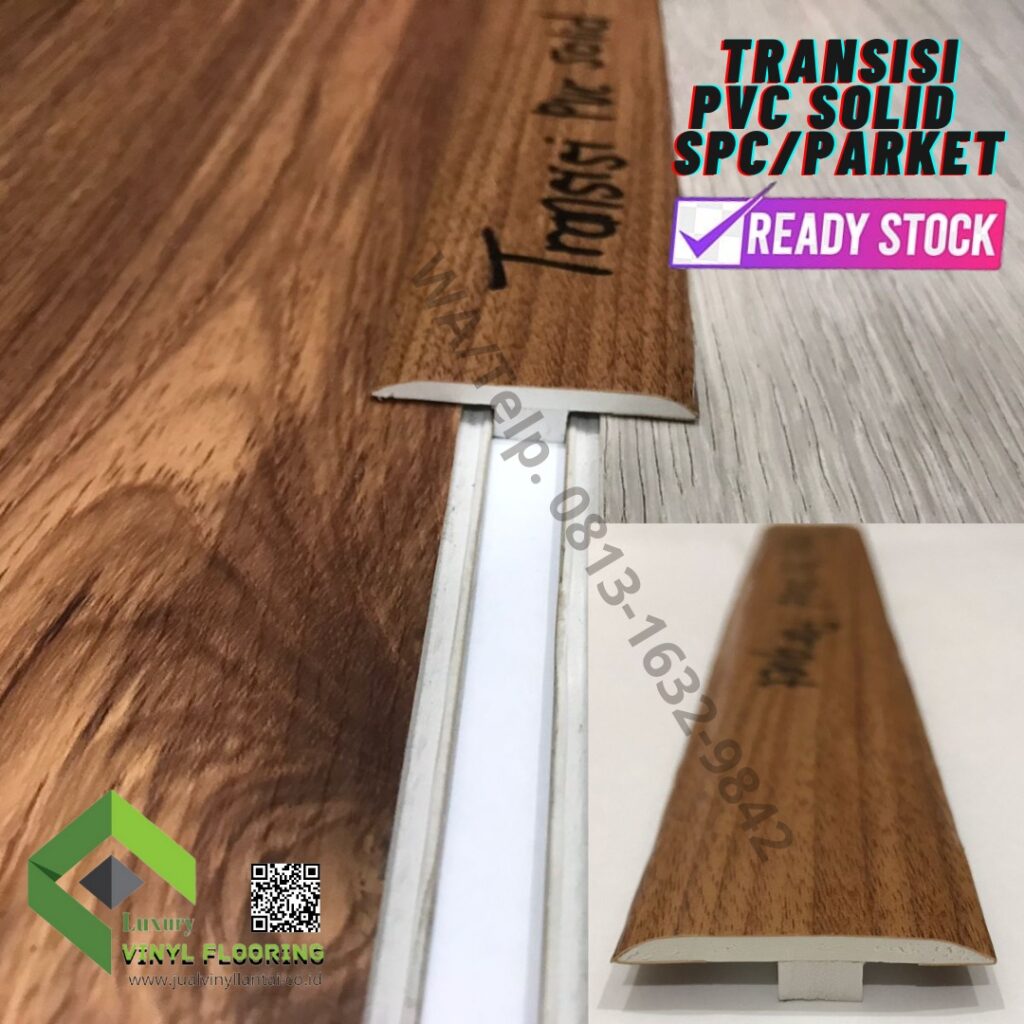 TRANSISI
