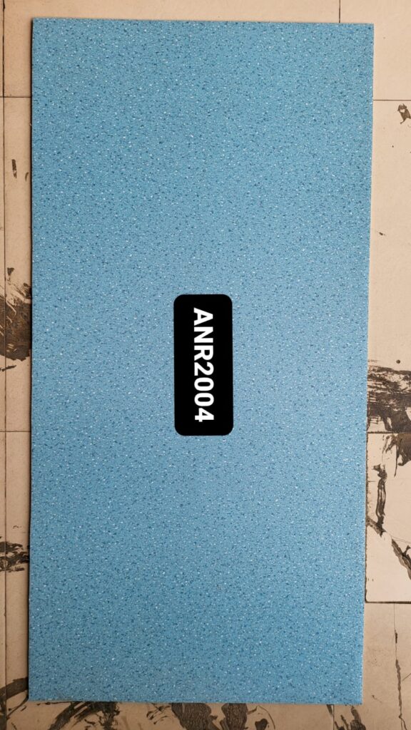 ANR2004